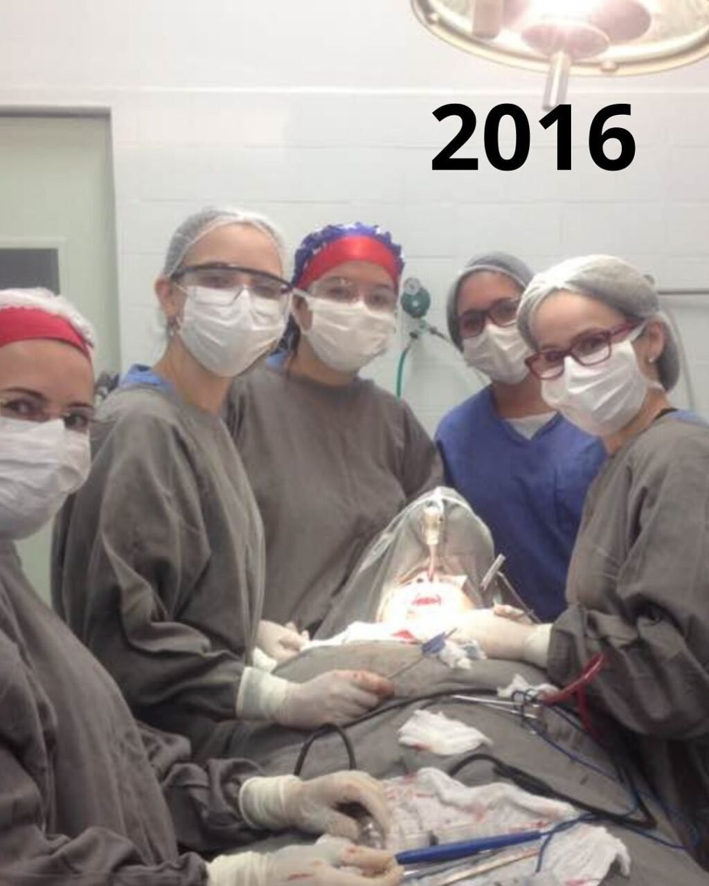 Instagram post from drafernanda.herrera. This post is in position 8.